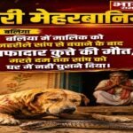 बलिया4अगस्त26* बलिया: में वफादार कुत्ते ने मालिक को सांप से बचाया, खुद गंवाई जान। 