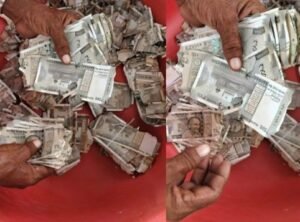 बाड़मेर9अगस्त26*खेत में 5 लाख रुपए दबाकर भूल गया किसान, जुताई के दौरान मिली रकम नोटों को चट कर गई दीमक*