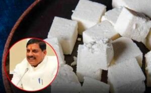 भोपाल13अगस्त26*एनालॉग पनीर पर प्रतिबंध दूध की जगह वनस्पति से बन रहा था पनीर, सरकार ने लगाया बैन, होगी सख्त कार्रवाई*