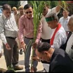 बांदा 15 सितंबर 26*मंडलायुक्त और पर्यावरण प्रहरी ने संयुक्त रूप से कमिश्नर कार्यालय परिसर में किया पौधरोपण*