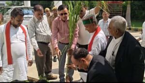 बांदा 15 सितंबर 26*मंडलायुक्त और पर्यावरण प्रहरी ने संयुक्त रूप से कमिश्नर कार्यालय परिसर में किया पौधरोपण*