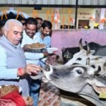 कानपुर देहात 19 सितंबर 26*कानपुर देहात में ‘सेवा मेरा योगदान’ कार्यक्रम, पुखरायां कान्हा गौशाला में हुई गौसेवा