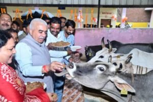 कानपुर देहात 19 सितंबर 26*कानपुर देहात में ‘सेवा मेरा योगदान’ कार्यक्रम, पुखरायां कान्हा गौशाला में हुई गौसेवा