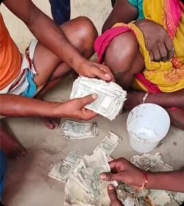 सीतापुर 30 अक्टूबर 26**चूहें खा गये गरीब का एक लाख रुपया**गरीब परिवार का 5 साल का सपना चूहों ने पल भर में बर्बाद कर दिया*